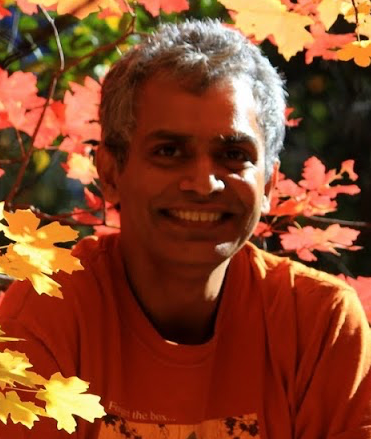 Subbarao Kambhampati